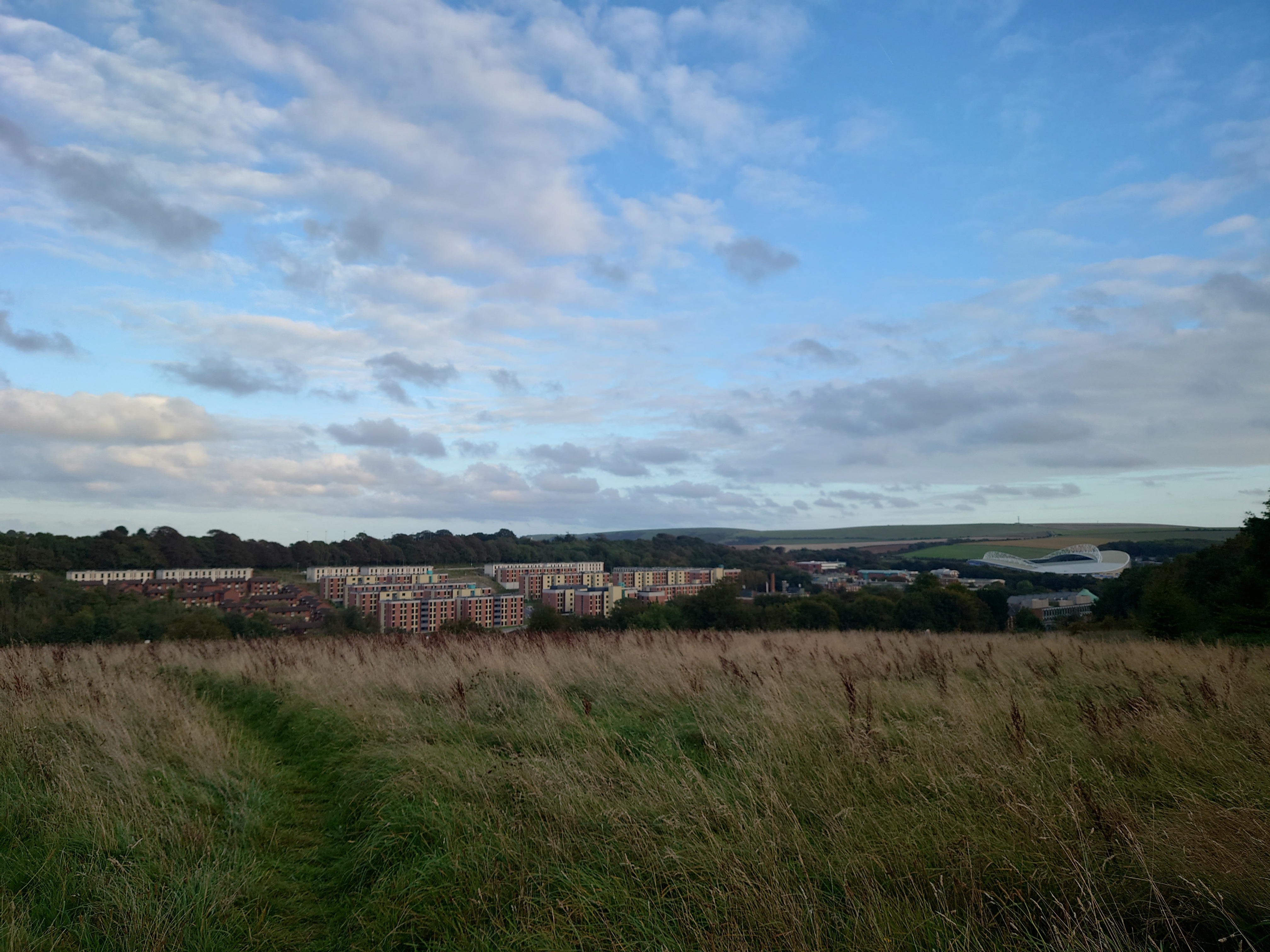 Campus View from the Back Hill